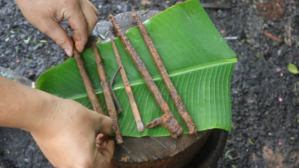 สังฆวานรแต่ละแบบ