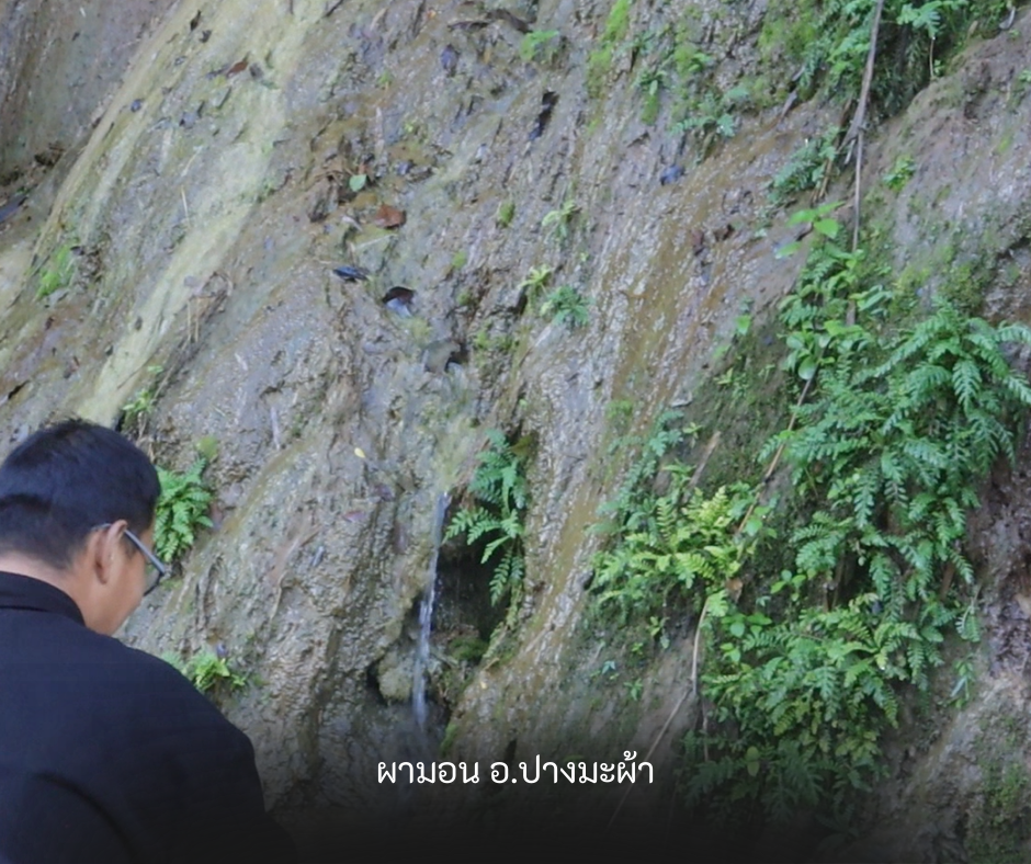 รองน้ำจากน้ำซับไหลตามหินบริเวณไหล่ทางผามอน อำเภอปางมะผ้า เพื่อนำไปทำน้ำชุบมีด